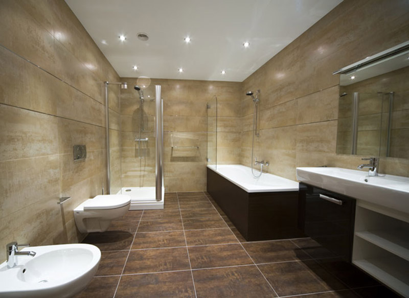 Luxury bathroom