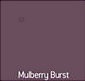 Mulberry Burst